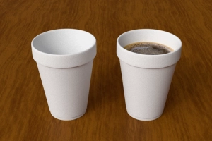 Styrofoam Cup 3D Model